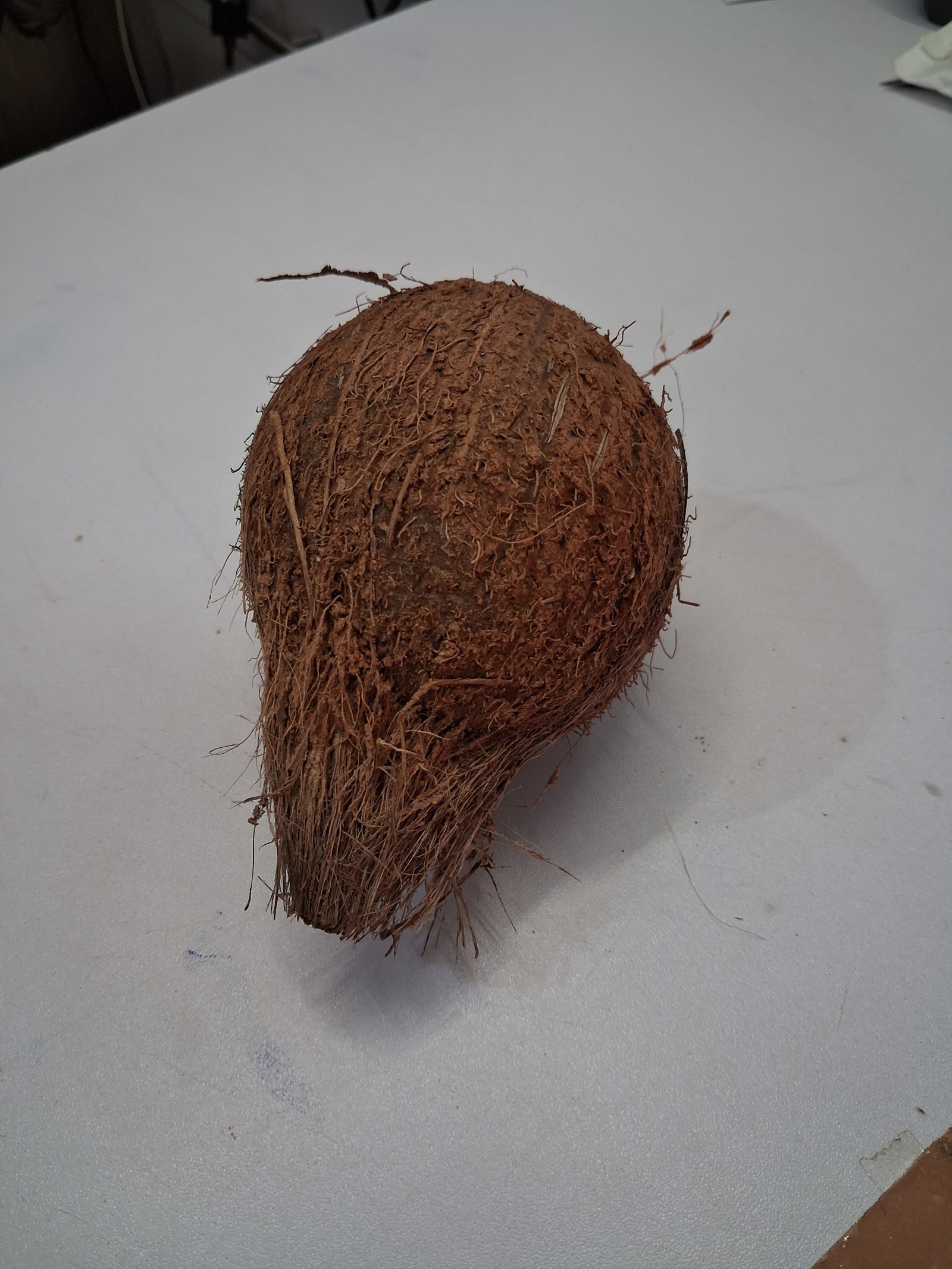 Coconut
